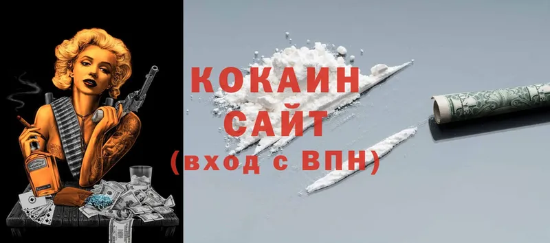 Cocaine FishScale  где продают   Сорочинск 